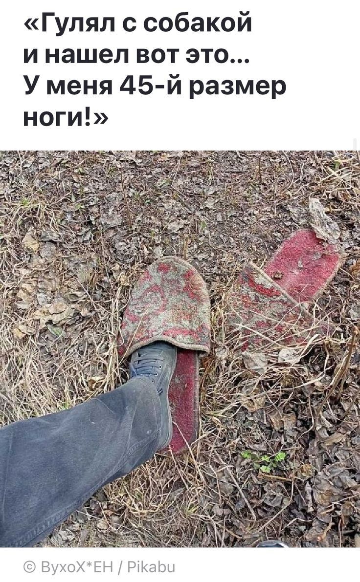 Гулял с собакой и нашел вот это У меня 45 й размер