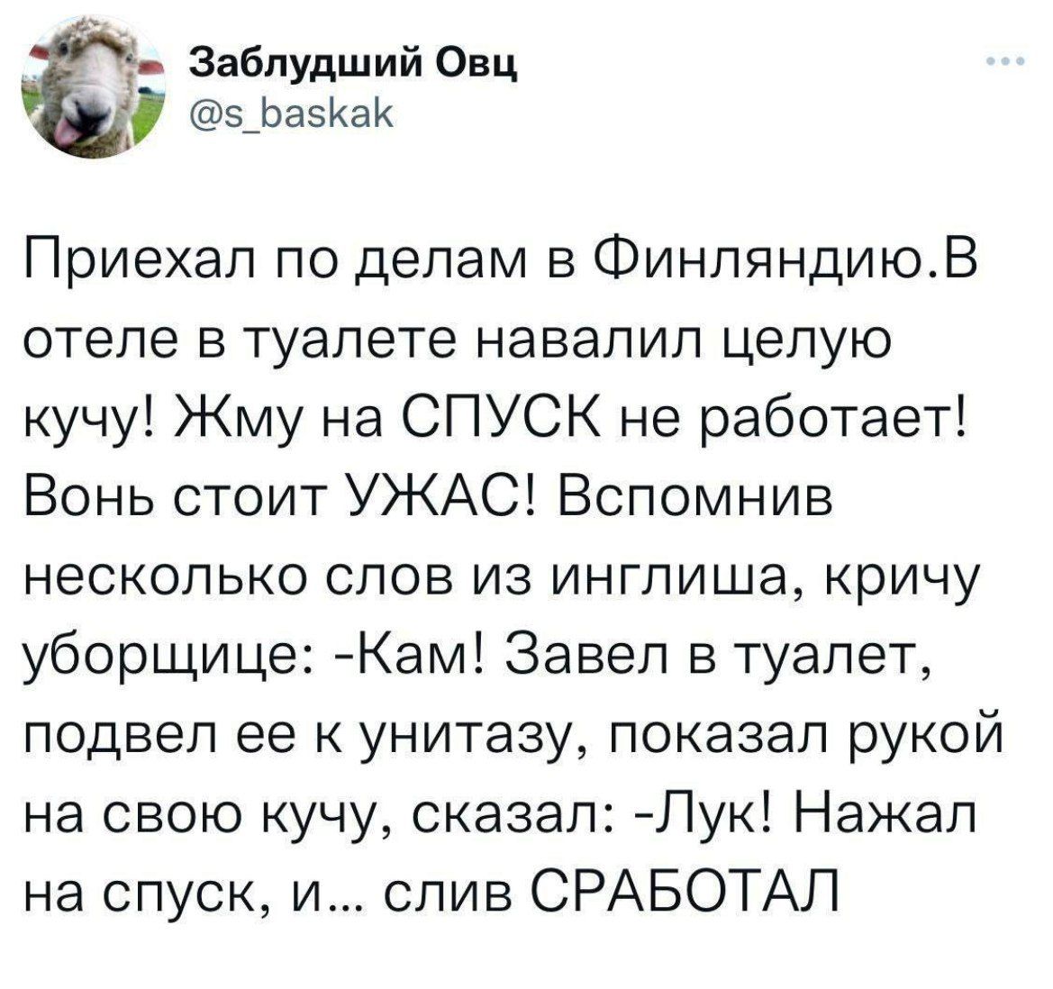 Заблудший Овц 5 Баскак Приехал по делам в ФинляндиюВ отеле в туалете навалил целую кучу Жму на СПУСК не работает Вонь стоит УЖАС Вспомнив несколько слов из инглиша кричу уборщице Кам Завел в туалет подвел ее к унитазу показал рукой на свою кучу сказал Лук Нажал на спуск и слив СРАБОТАЛ