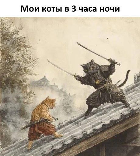 Мои коты в 3 часа ночи