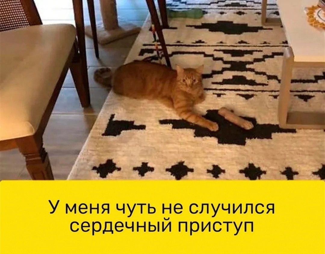 У меня чуть не случился сердечный приступ