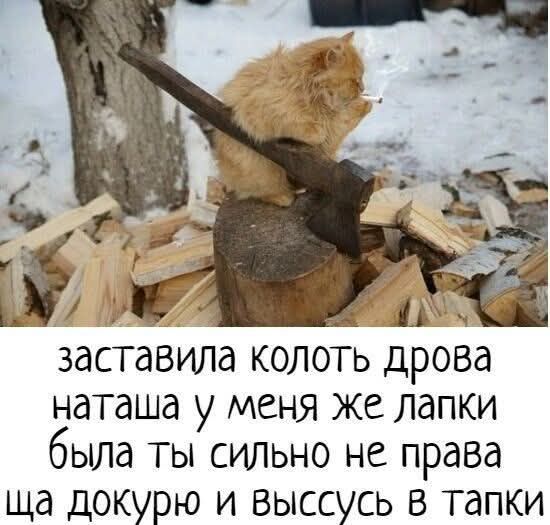 1у8 _ 5З заставила колоть дрова наташа у меня же лапки была ты сильно не права ща докурю и выссусь в тапки