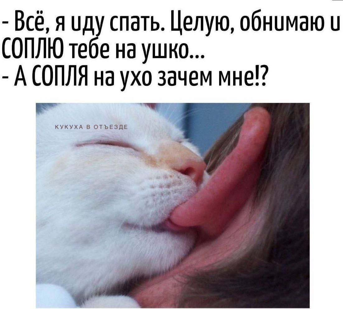 Всё я иду спать Целую обнимаю и СОПЛЮ тебе на ушко А СОПЛЯ на ухо зачем мне