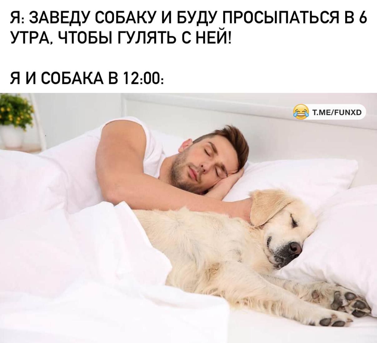 Я ЗАВЕДУ СОБАКУ И БУДУ ПРОСЫПАТЬСЯ В 6 УТРА ЧТОБЫ ГУЛЯТЬ С НЕЙ Я И СОБАКА В 1200 э я