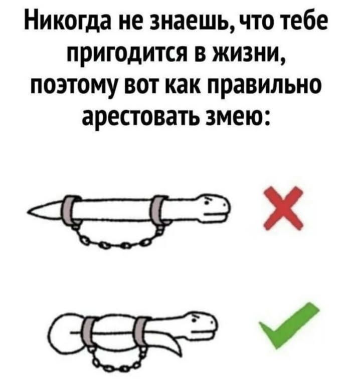 Никогда не знаешь что тебе пригодится в жизни поэтому вот как правильно арестовать змею х оЕ У
