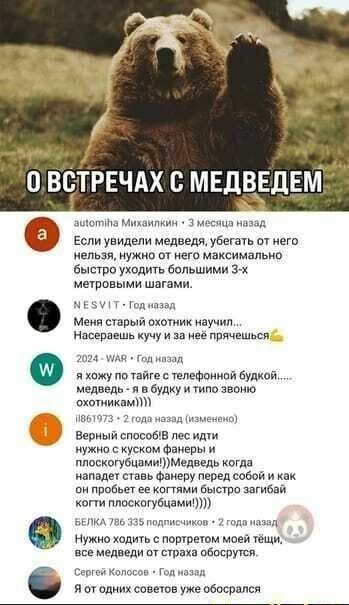 СЕ ууа ОВСТРЕЧАХ С МЕДВЕДЕМ амотуна Михаилкин 3 месяца нозад Если увидели медведя убегать от него нельзя нужно от него максимально быстро уходить большими З метровыми шагами МЕБУТ Год нозад Меня старый охотник научил Насераешь кучу и за неё прячешься 4 МАЯ Год назад я хожу по тайге с телефонной будкой медведь я в будку и типо звоню охотникам пвто Верный способВ лес идти нужно с куском фанеры и пло