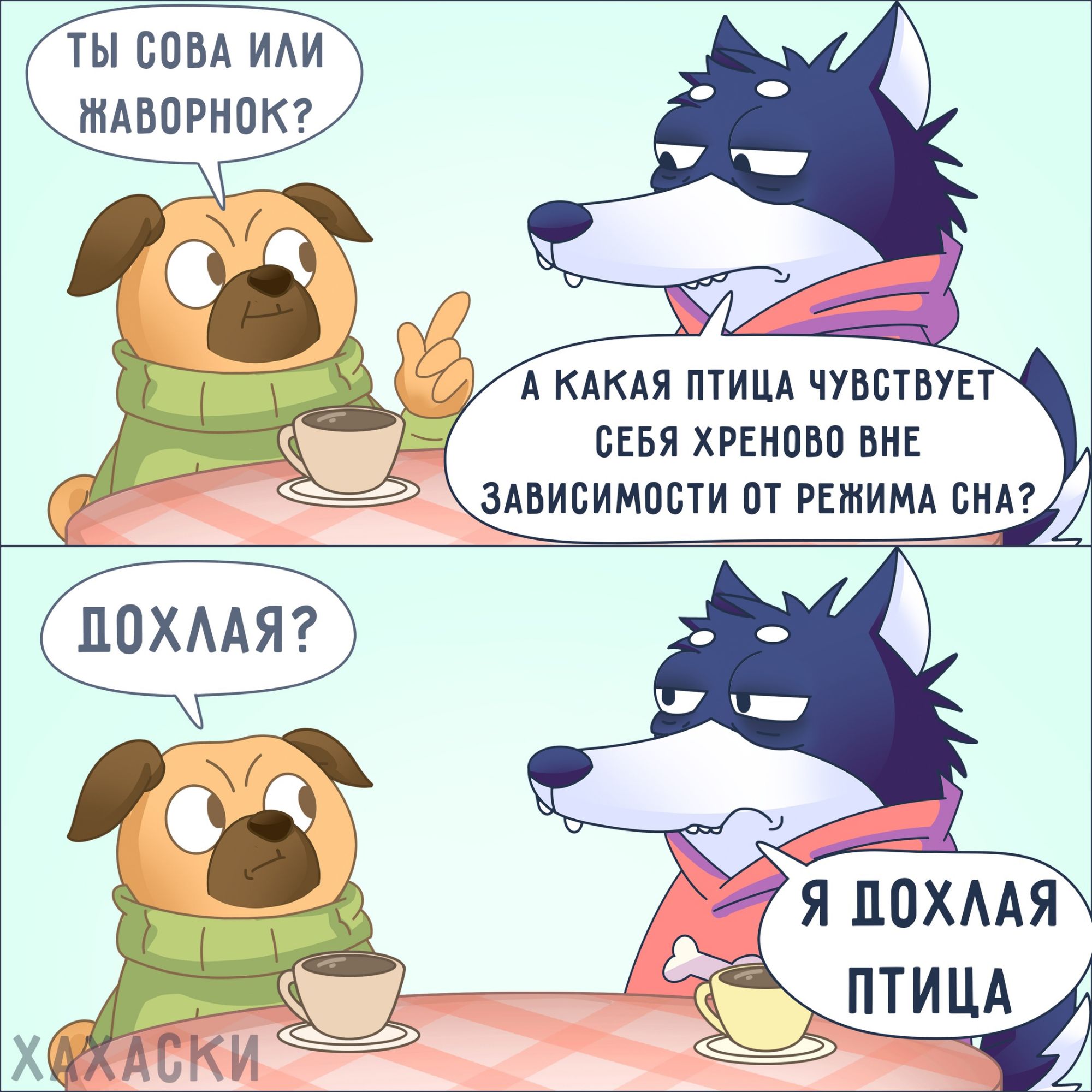 ТЫ СОВА ИЛИ МЖАВОРНОК А КАКАЯ ПТИЦА ЧУВСТВУЕ СЕБЯ ХРЕНОВО ВНЕ ЗАВИСИМОСТИ ОТ РЕЖИМА СНА Я ДОХЛАЯ ПТИЦА