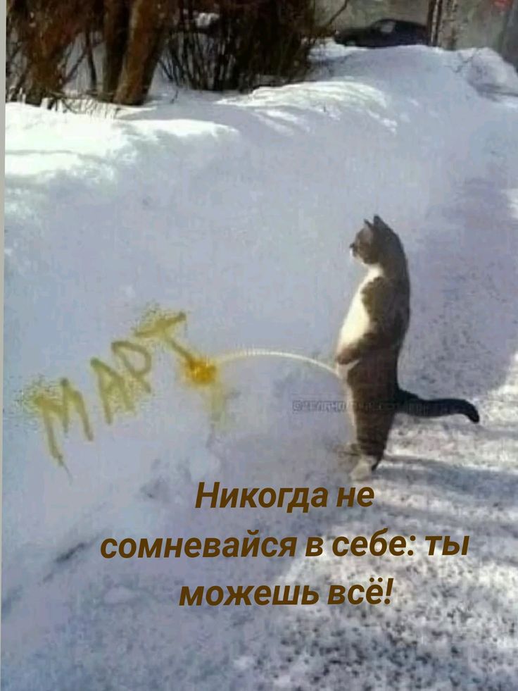 Никогда не исомневайся В себе ты можешь всё я ой Ь КИК