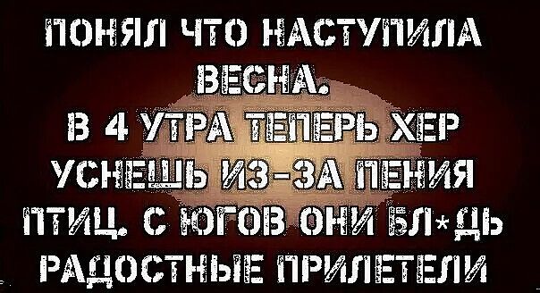 ПОНЯЛ ЧТО НАСТУПИЛА УСНЕ ПТиЦ с БЛхаЬ РАЧОСТНЫЕ ПРИЛЕТЕЛИ