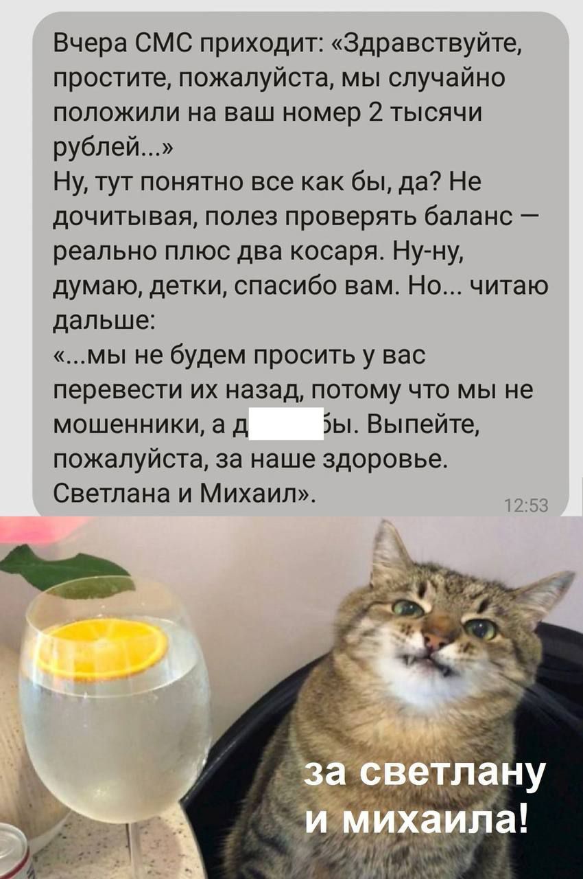 Вчера СМС приходит Здравствуйте простите пожалуйста мы случайно положили на ваш номер 2 тысячи рублей Ну тут понятно все как бы да Не дочитывая полез проверять баланс реально плюс два косаря НУ НУ думаю детки спасибо вам Но читаю дальше мы не будем просить у вас перевести их назад потому что мы не мошенники а д зы Выпейте ПОЖЕПУЙСТЭ за наше здоровье Светлана и Михаил