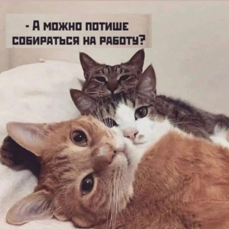 А можно ПОТИШЕ СОБИРАТЬСЯ НА РАБОТУ