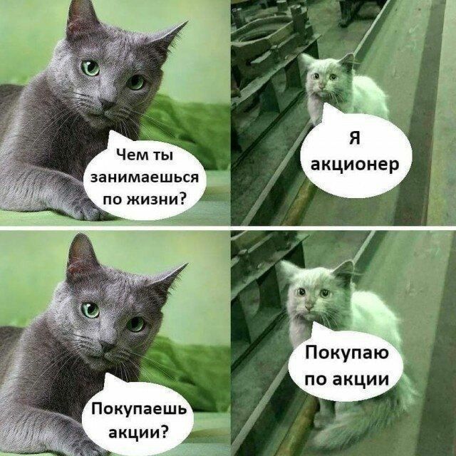 занимаешься по жизни Покупаю по акции