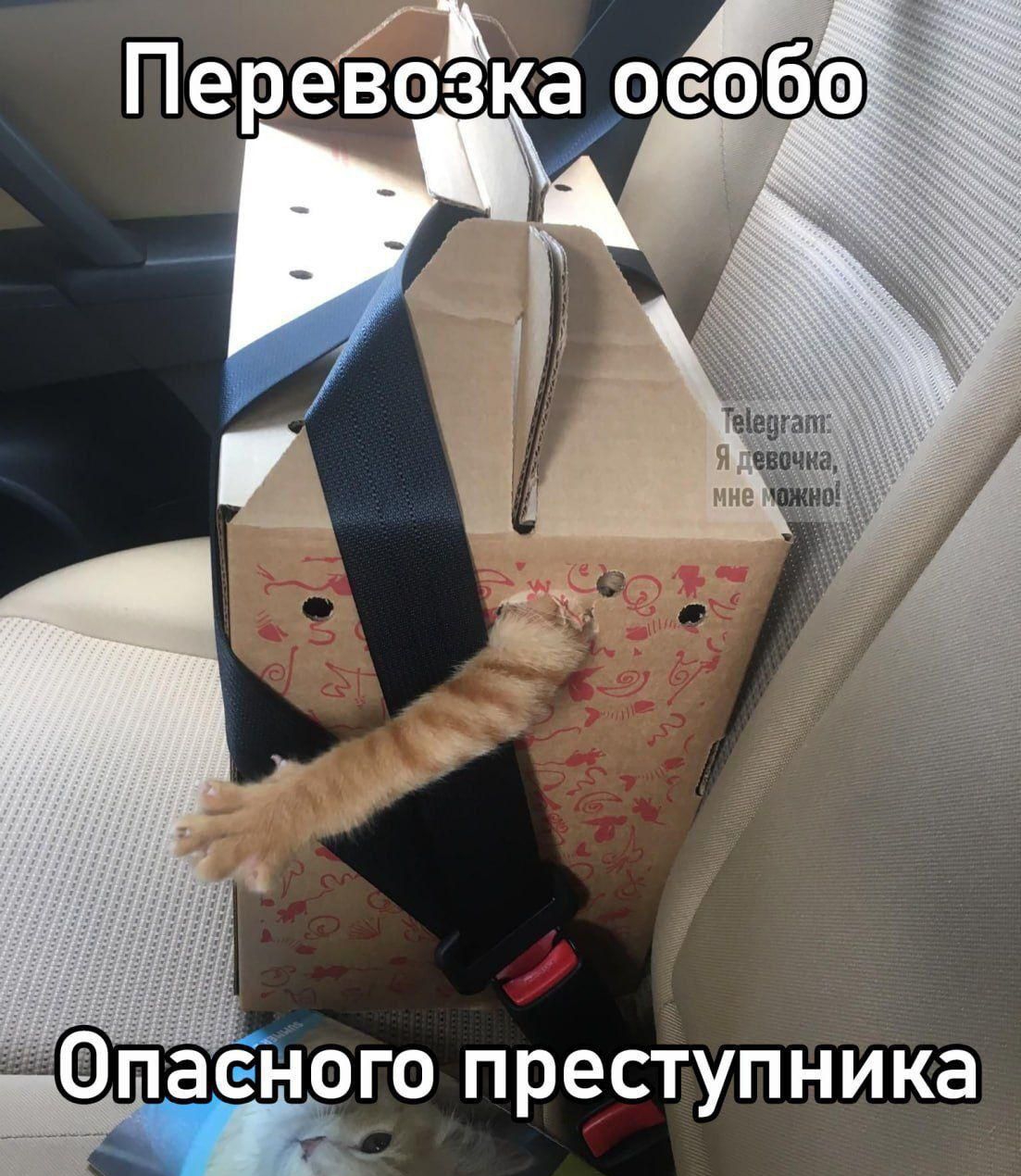 Опасного преступника