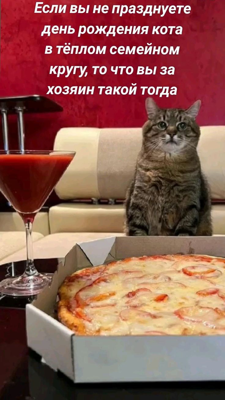 разднуете ния кота ёплом семейном ТО