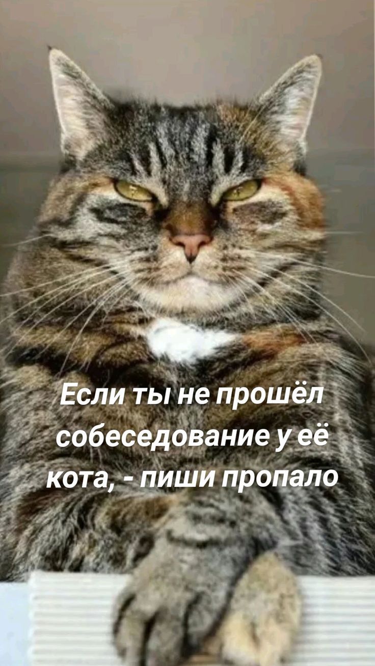 Ёсли ты не прошеР
