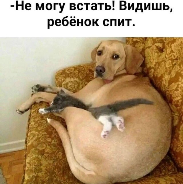Не могу встать Видишь ребёнок спит