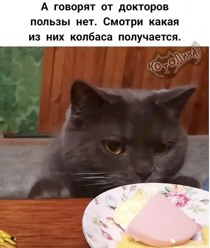 А говорят от докторов пользы нет Смотри какая из них колбаса получается
