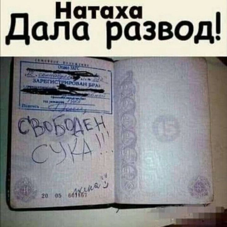 Натаха Дала развод Е ЗАаа НАООООННЬ