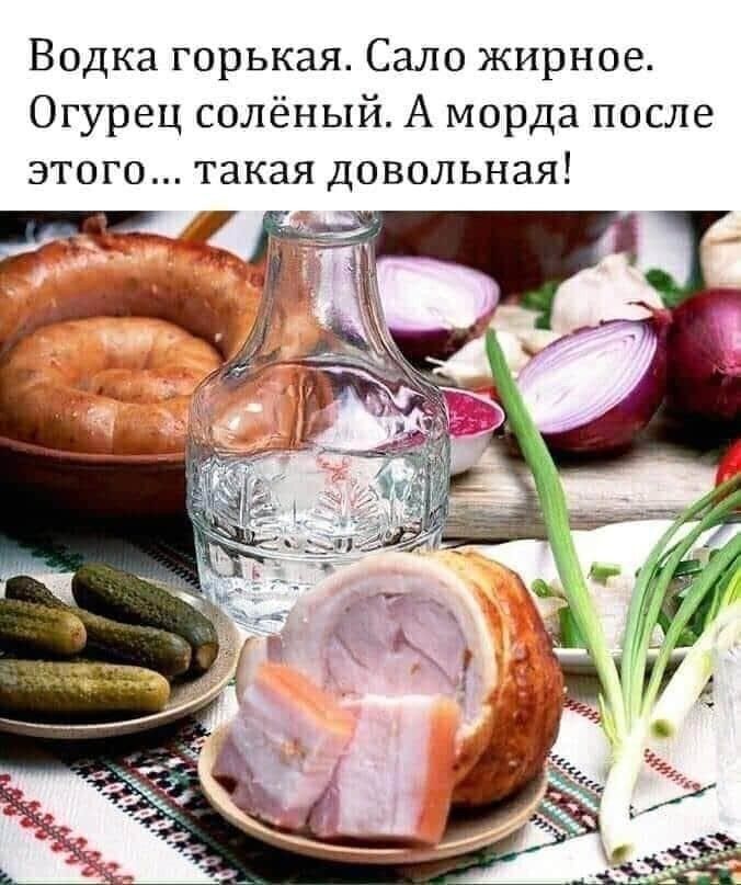 Водка горькая Сало жирное Огурец солёный А морда после этого такая довольная