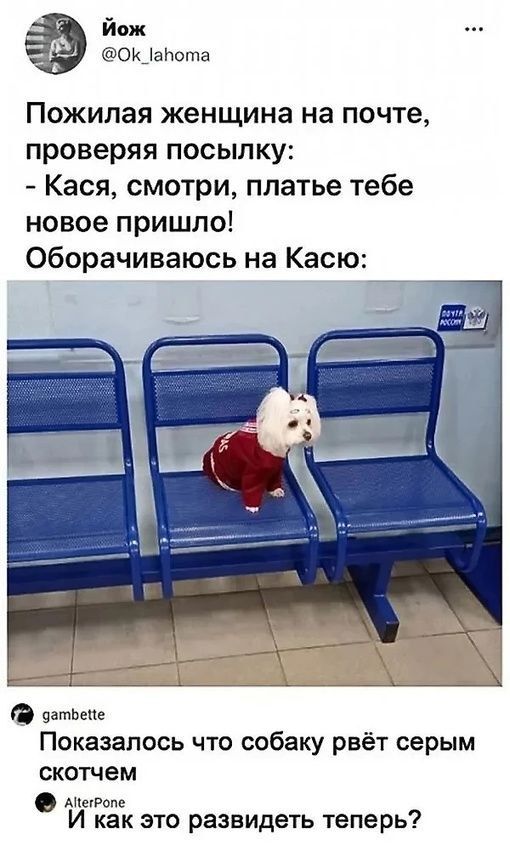 Йож Ок _1абота Пожилая женщина на почте проверяя посылку Кася смотри платье тебе новое пришло Оборачиваюсь на Касю сгтьене Показалось что собаку рвёт серым скотчем мстопс И как это развидеть теперь