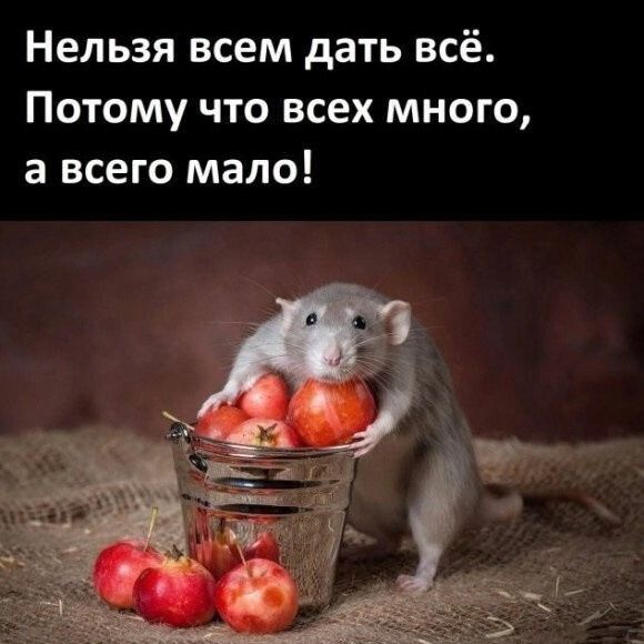 Нельзя всем дать всё Потому что всех много а всего мало
