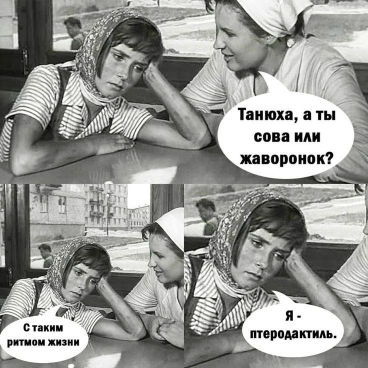 соваили Л жаворонок