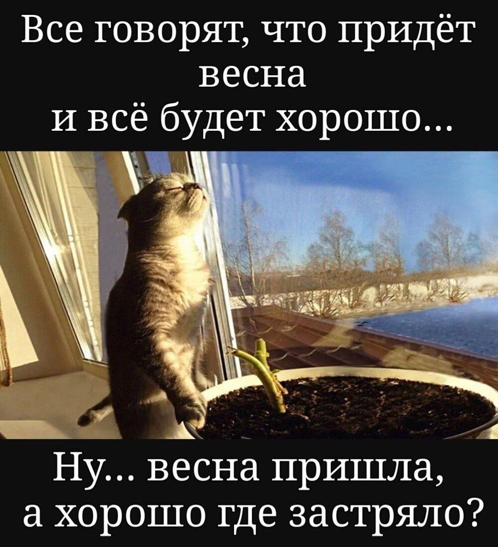 Все говорят что придёт весна и всё будет хорошо 1 ч щА Ну весна пришла а хорошо где застряло