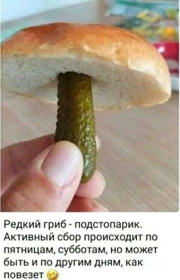Редкий гриб подстопарик Активный сбор происходит по пятницам субботам но может быть и по другим дням как повезет о5