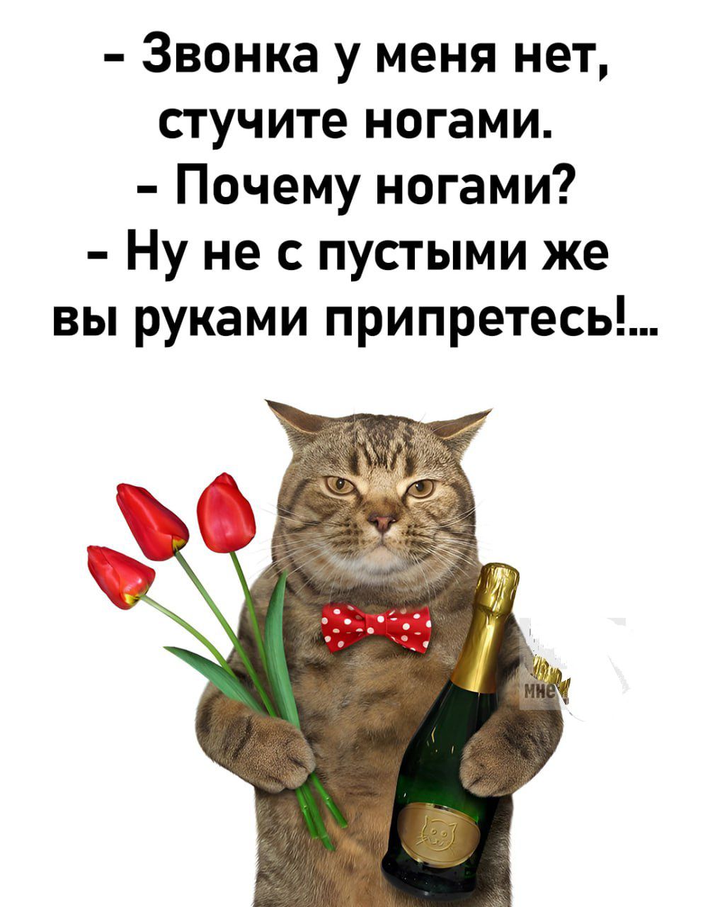 Звонка у меня нет стучите ногами Почему ногами Ну не с пустыми же вы руками припретесы
