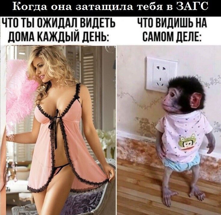 Когда она затащила тебя в ЗАГС ЧТО ТЫ ОЖИДАЛ ВИДЕТЬ ЧТО ВИДИШЬ НА ДОМА КАЖДЫЙ ДЕНЬ САМОМ ДЕЛЕ