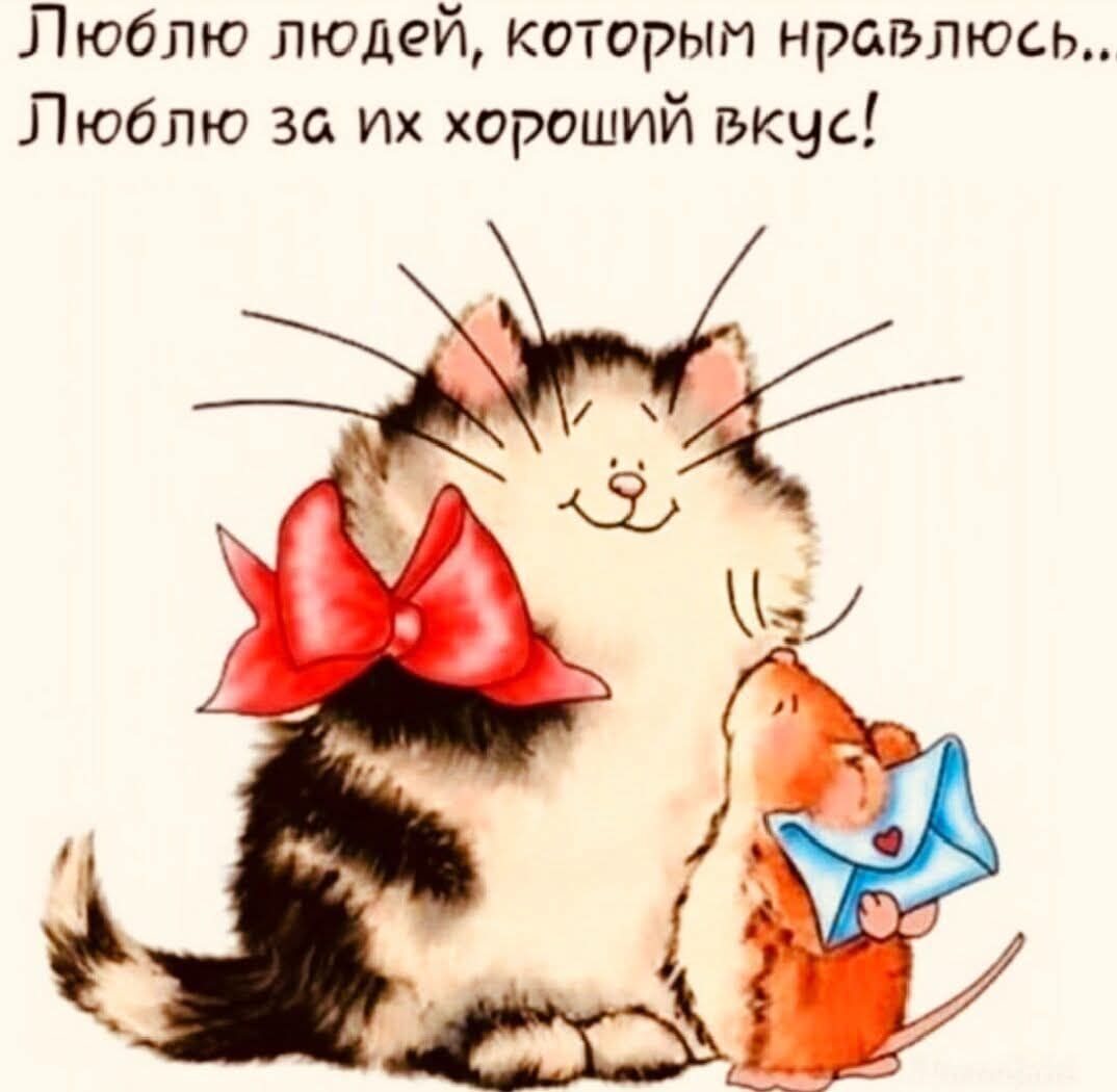 Люблю людей которым нравлюсь Люблю за их хороший вкус