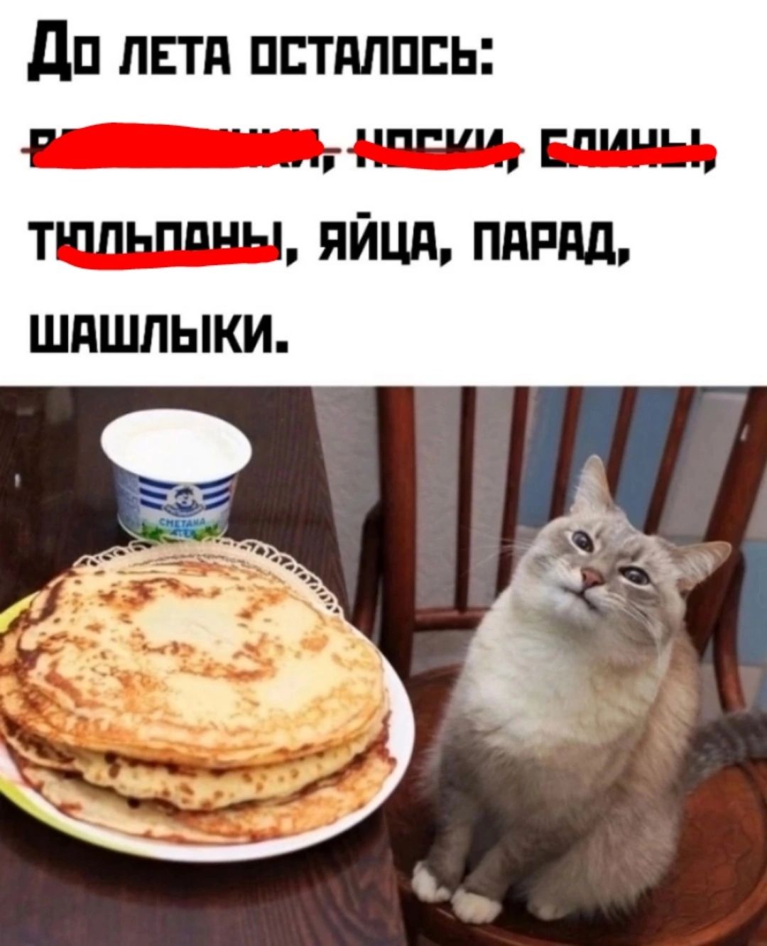 До лТА остАлось элииимия Носми БЛИНЬЬ тЮЩЬПОНЫ ЯЙЦА ПАРАД ШАШЛЫКИ