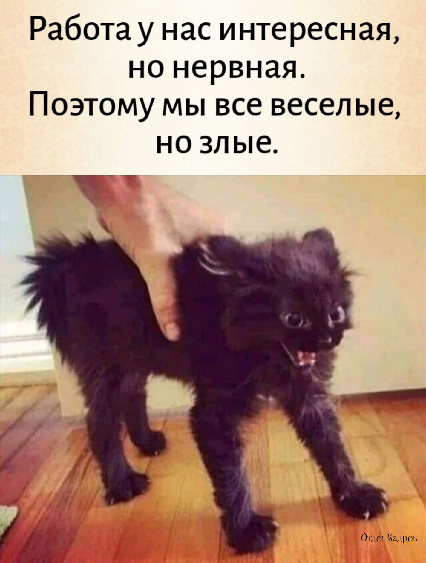 Работа у нас интересная но нервная Поэтому мы все веселые но злые ч ы