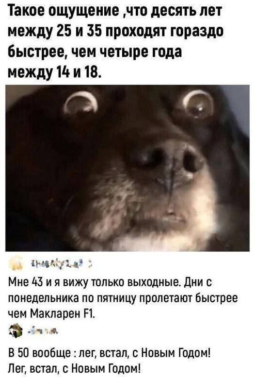 Такое ощущение что десять лет между 25 и 35 проходят гораздо быстрее чем четыре года между 14 и 18 Ы Мне 43 ия вижу только выходные Дни с понедельника по пятницу пролетают быстрее чем Макларен Р1 Ф 6 В 50 вообще лег встал с Новым Годом Лег встал с Новым Годом