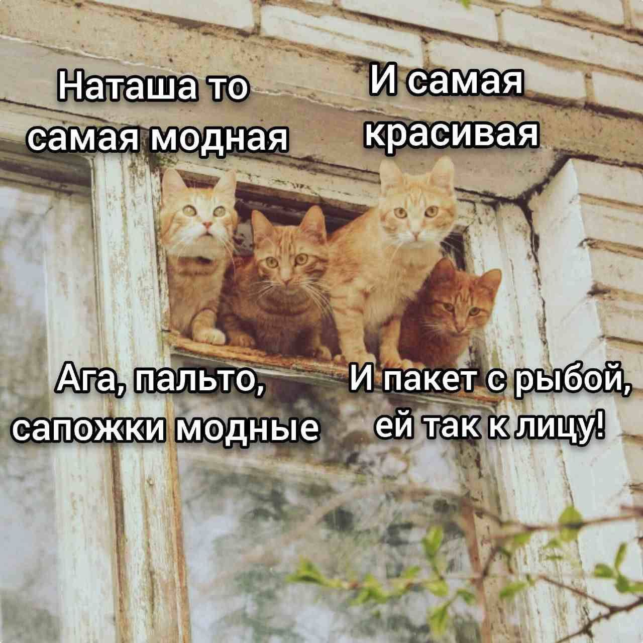с пальтЪ е РЫбоЙ ЙЪ таЁк и
