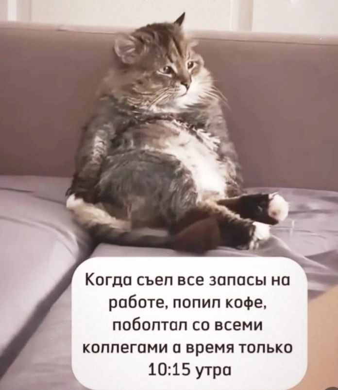 Когда съеп все запасы на роботе попил кофе поболтал со всеми коплегами а время только 1015 утра