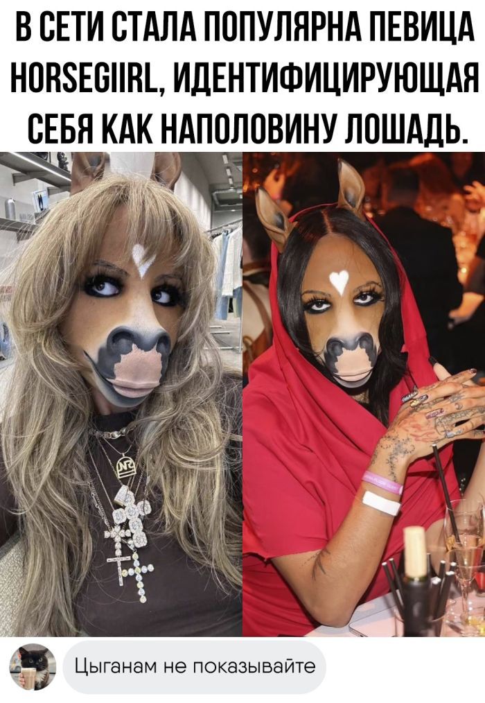 В СЕТИ СТАЛА ПОПУЛЯРНА ПЕВИЦА НОВФЕСИА ИДЕНТИФИЦИРУЮЩАЯ СЕБЯ КАК НАПОЛОВИНУ ЛОШАДЬ Цыганам не показывайте