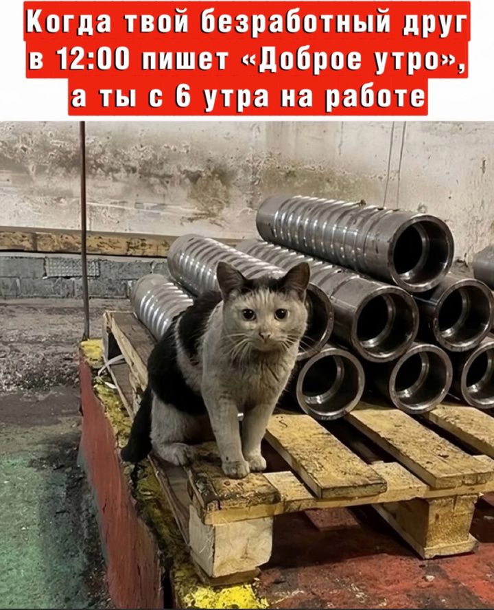 Когда твой безработный друг в 1200 пишет Доброе утро а ты с б утра на работе