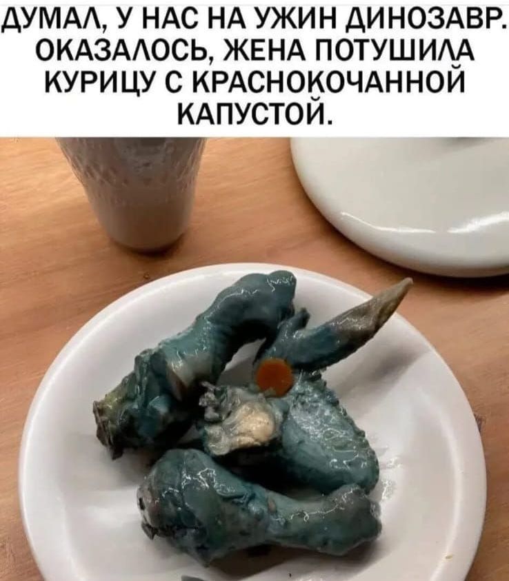 ДУМАЛ У НАС НА УЖИН ДИНОЗАВР ОКАЗАЛОСЬ ЖЕНА ПОТУШИЛА КУРИЦУ С КРАСНОКОЧАННОЙ КАПУСТОЙ