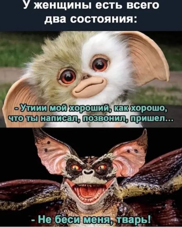У женщины есть всего два состояния инетинй чтолтыЦнаписалУпозвонил Небесийменя тварь