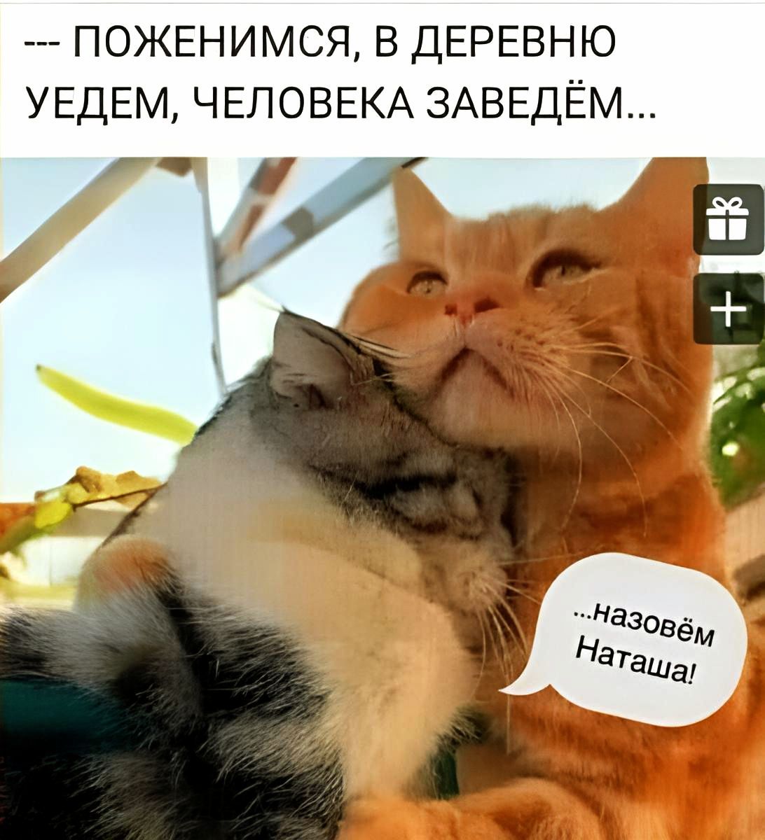 ПОЖЕНИМСЯ В ДЕРЕВНЮ УЕДЕМ ЧЕЛОВЕКА ЗАВЕДЁМ