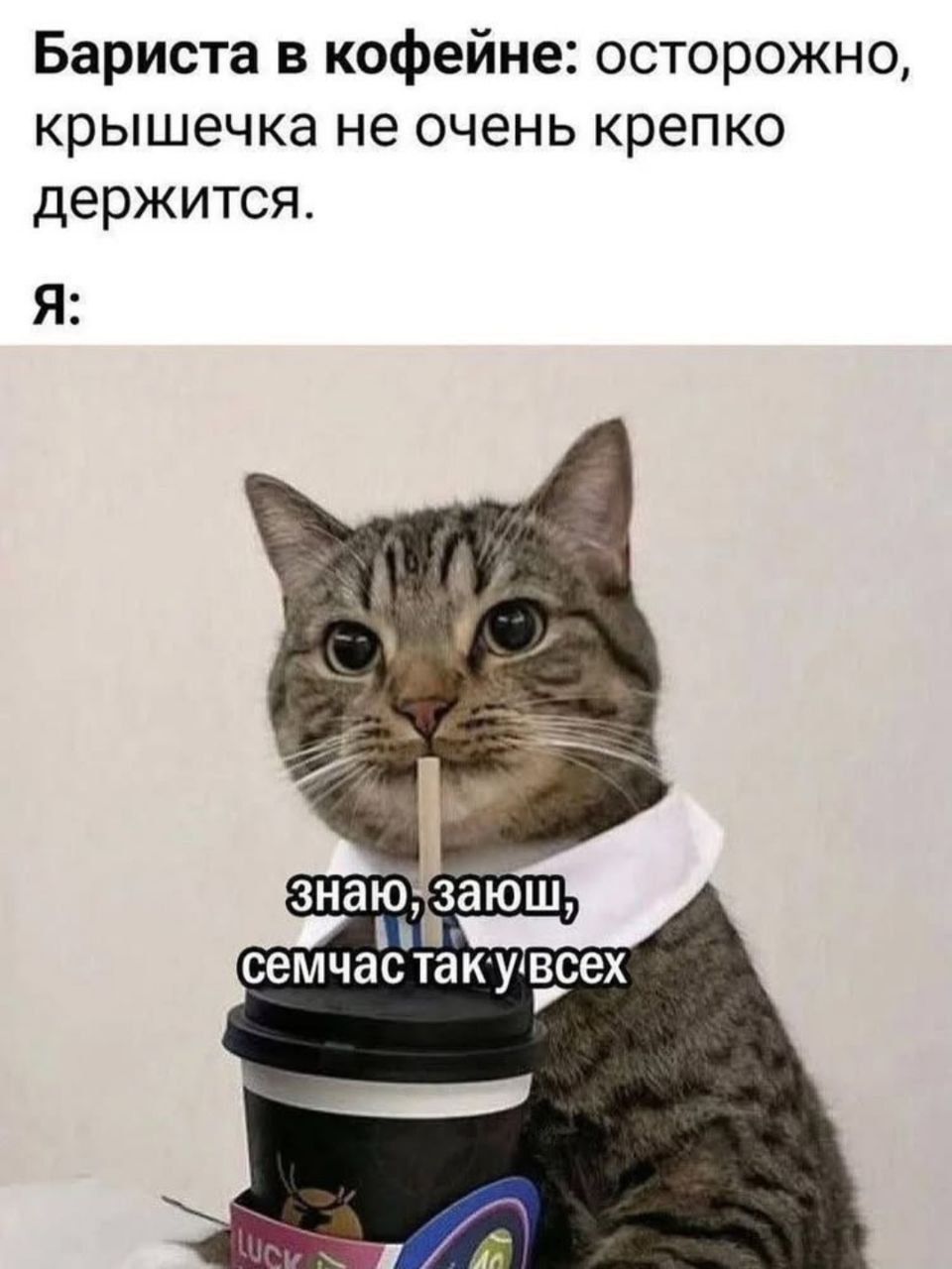 Бариста в кофейне: осторожно, крышечка не очень крепко держится. Я: знаю, знаю, иногда так у всех