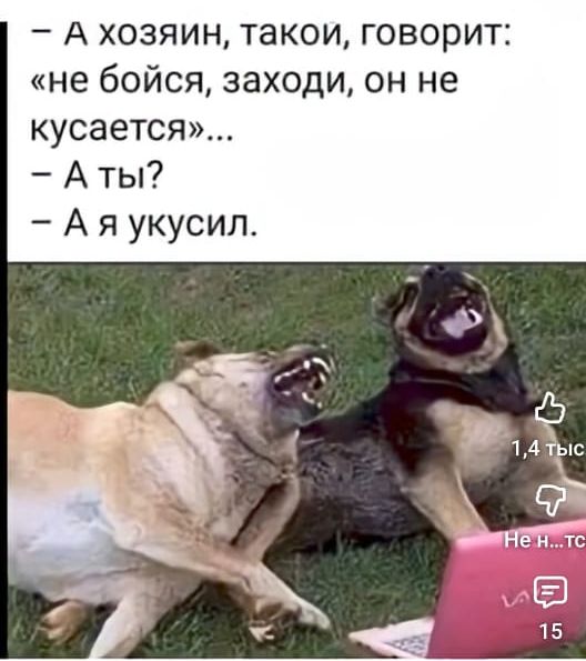 - А хозяин, такой, говорит: «не бойся, заходи, он не кусается»...
- А ты?
- А я укусил.