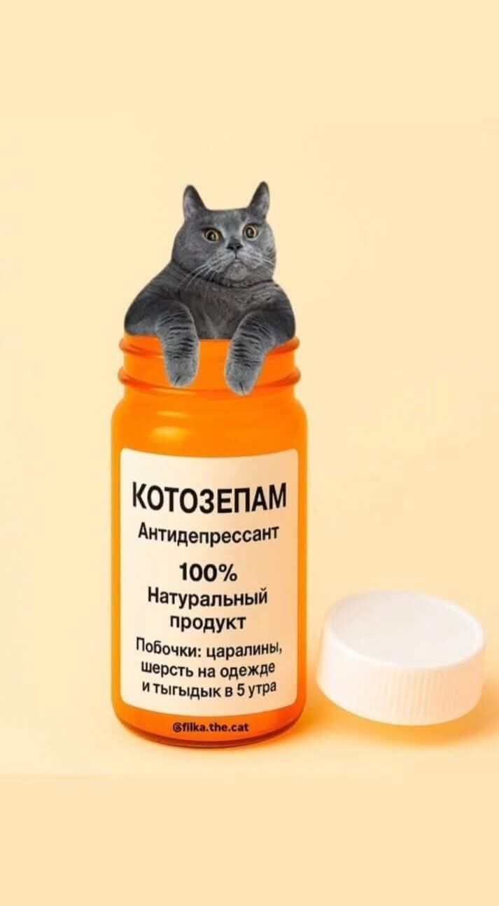 КОТОЗЕПАМ
Антидепрессант
100% Натуральный продукт
Побочки: царапины, шерсть на одежде и тыгы в 5 утра