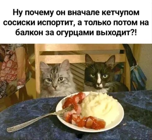 Ну почему он вначале кетчупом сосиски испортит, а только потом на балкон за огурцами выходит?!