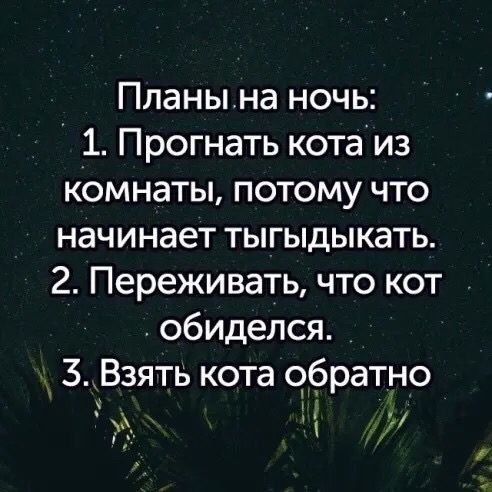 Планы на ночь:
1. Прогнать кота из комнаты, потому что начинает тыгыдыкать.
2. Переживать, что кот обиделся.
3. Взять кота обратно