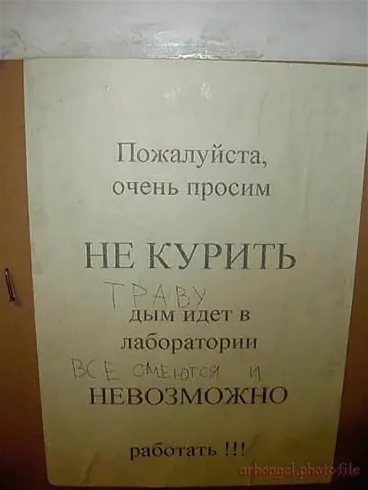 Пожалуйста, очень просим НЕ КУРИТЬ ТРАВУ ДЫМ ИДЕТ В лаборатории ВСЕ СМЕЮТСЯ И НЕВОЗМОЖНО работать !!!