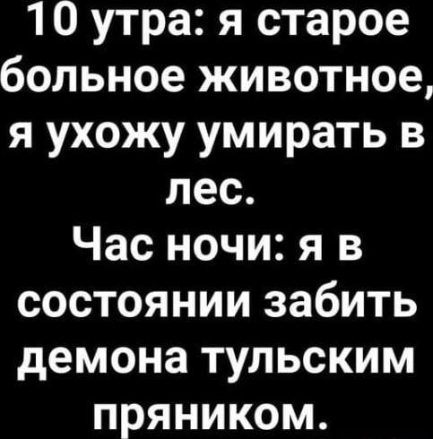 10 утра: я старое больное животное, я ухожу умирать в лес. Час ночи: я в состоянии забить демона тульским пряником.