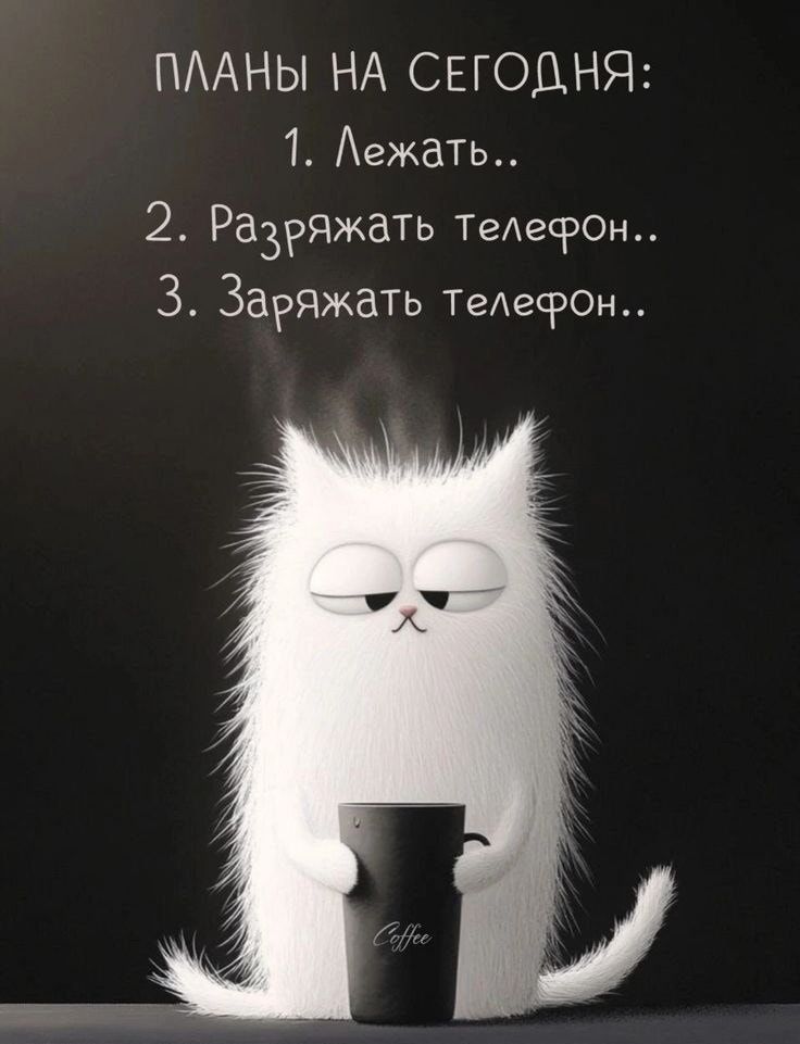ПЛАНЫ НА СЕГОДНЯ:
1. Лежать..
2. Разряжать Телефон..
3. Заряжать Телефон..