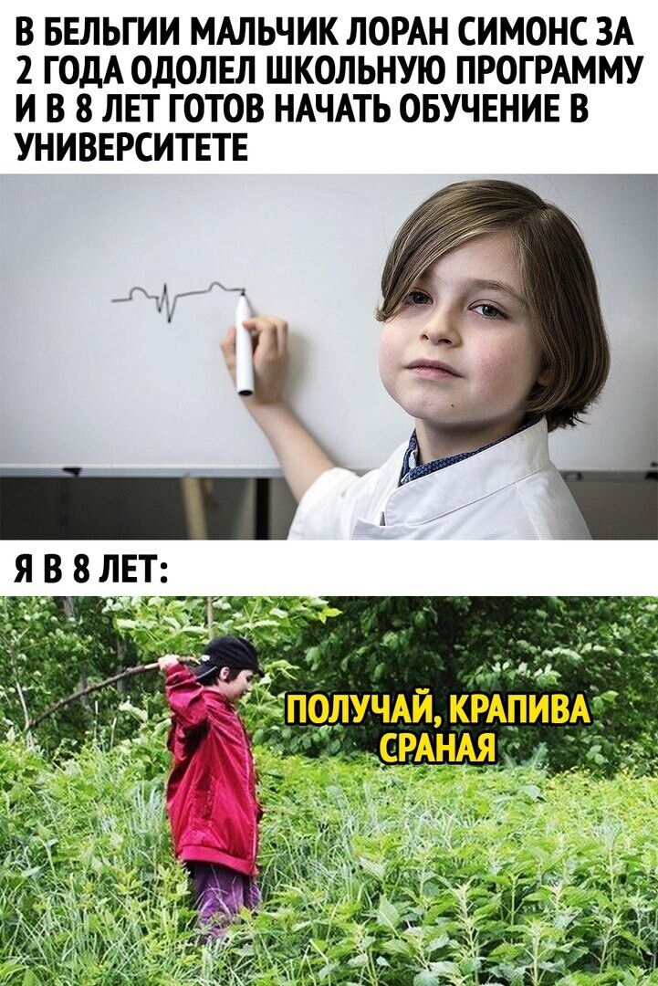В БЕЛЬГИИ МАЛЬЧИК ЛОРАН СИМОНС ЗА 2 ГОДА ОДОЛЕЛ ШКОЛЬНУЮ ПРОГРАММУ И В 8 ЛЕТ ГОТОВ НАЧАТЬ ОБУЧЕНИЕ В УНИВЕРСИТЕТЕ
Я В 8 ЛЕТ: ПОЛУЧАЙ, КРАПИВА СРАНА