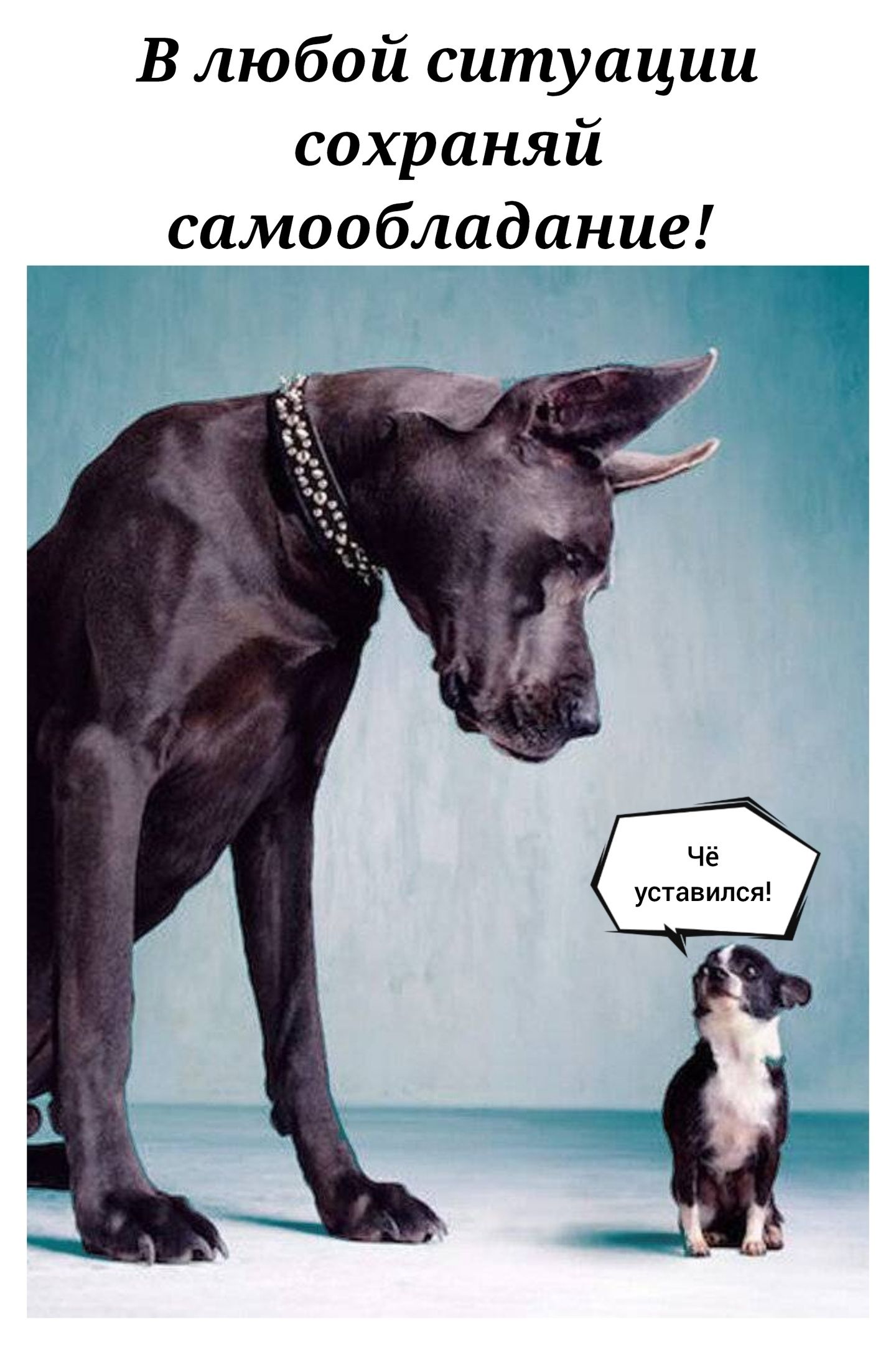 В любой ситуации сохраняй самообладание! Чё устался!